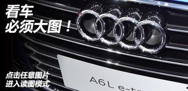 e国产永久,探索中国电子产业的无限可能